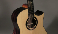 Custom Guitar with Charles Rennie Mackintosh Theme